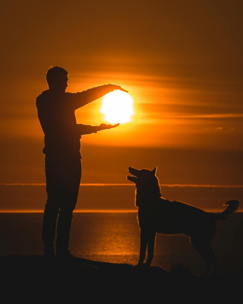 silhouette of man and dog during sunset
