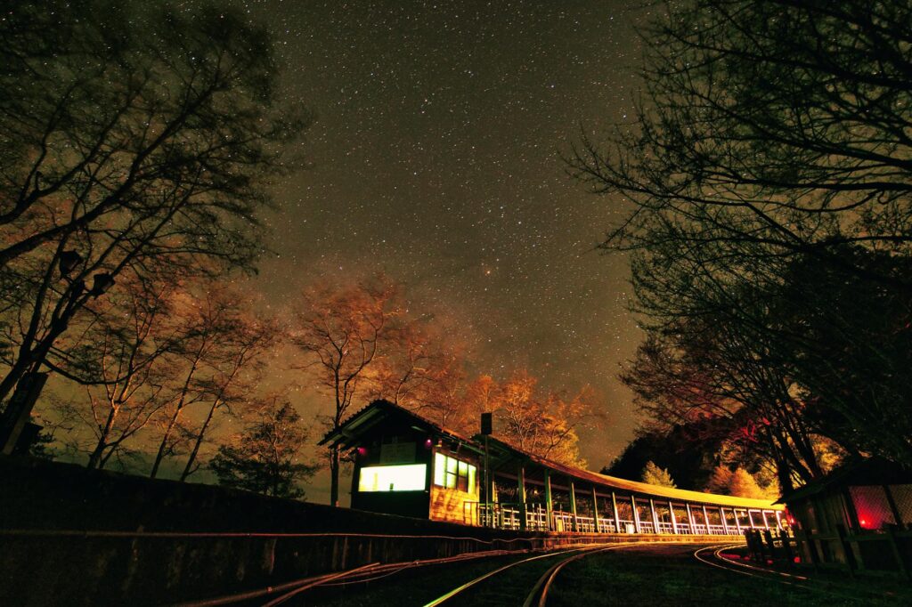 train rails among trees at night