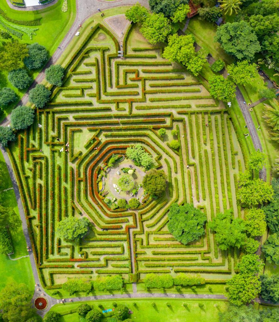 aerial photography of maze bush