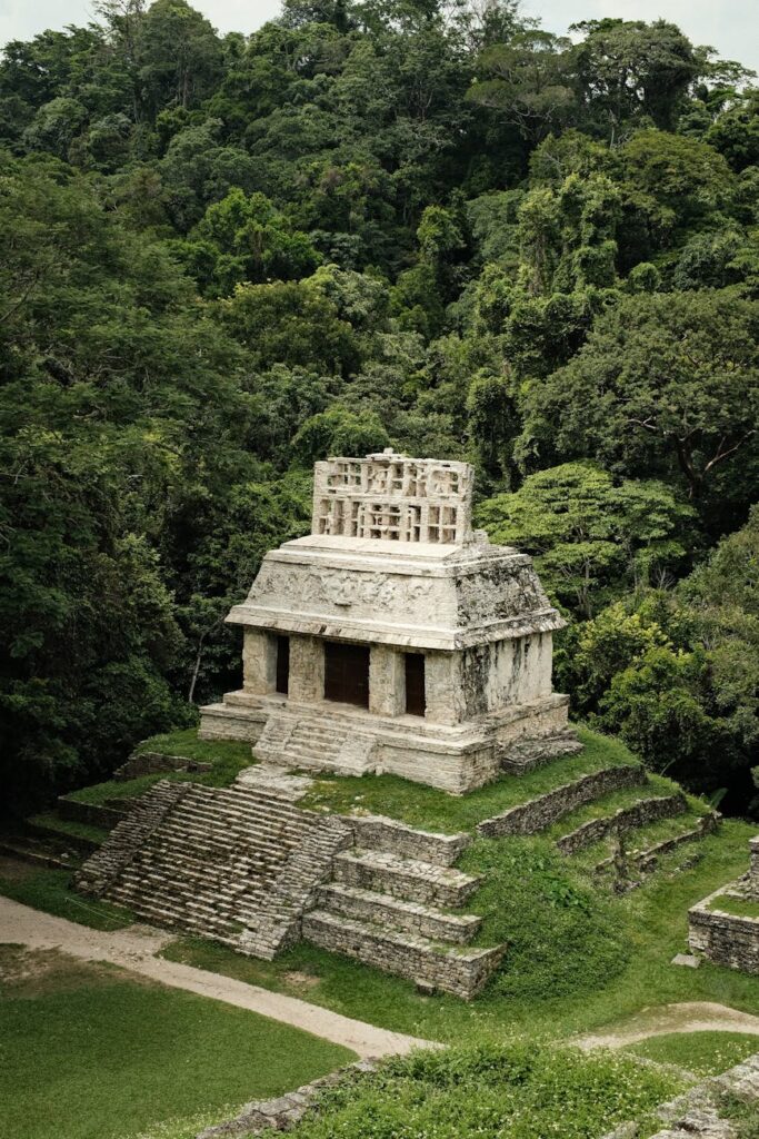 ancient mayan temple in lush jungle of palenque